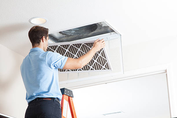 Best Air Filters and Purifiers in Horse Shoe, NC